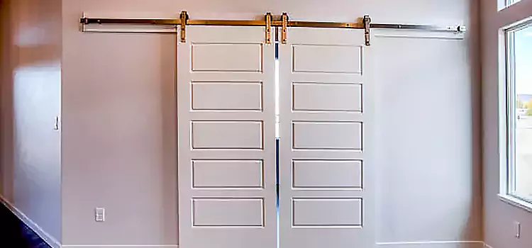 Glass Barn Door with Installation Hardware Kit Fair Lawn