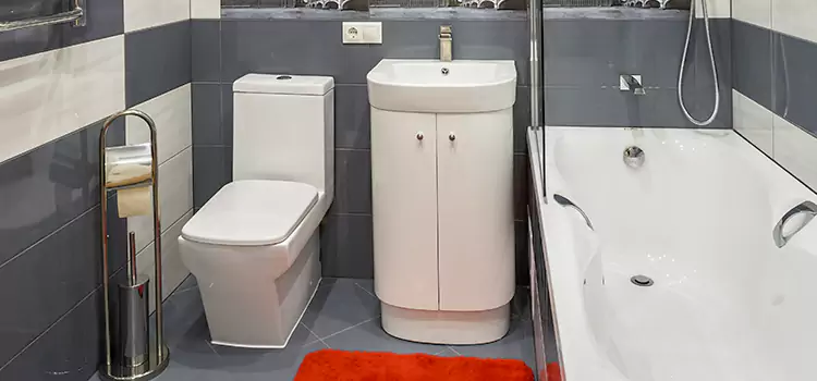 Hansgrohe Shaving Mirror Fair Lawn